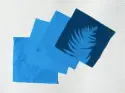 8" x 8" cyanotype cotton squares (color)