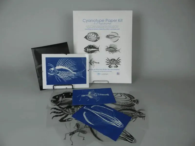 5" x 7" Transparency Designs - Image 2