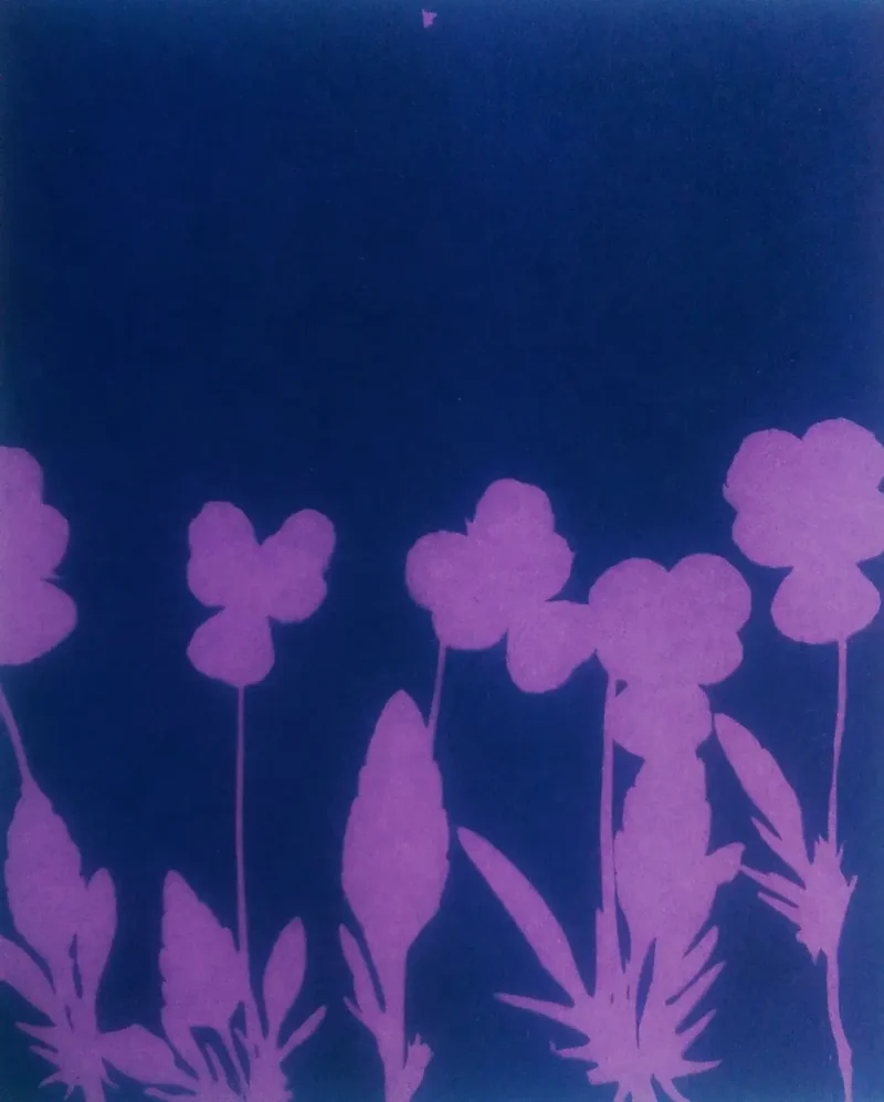 cyanotype cotton fabric "by the yard" (raspberry) - 45" wide - Image 2