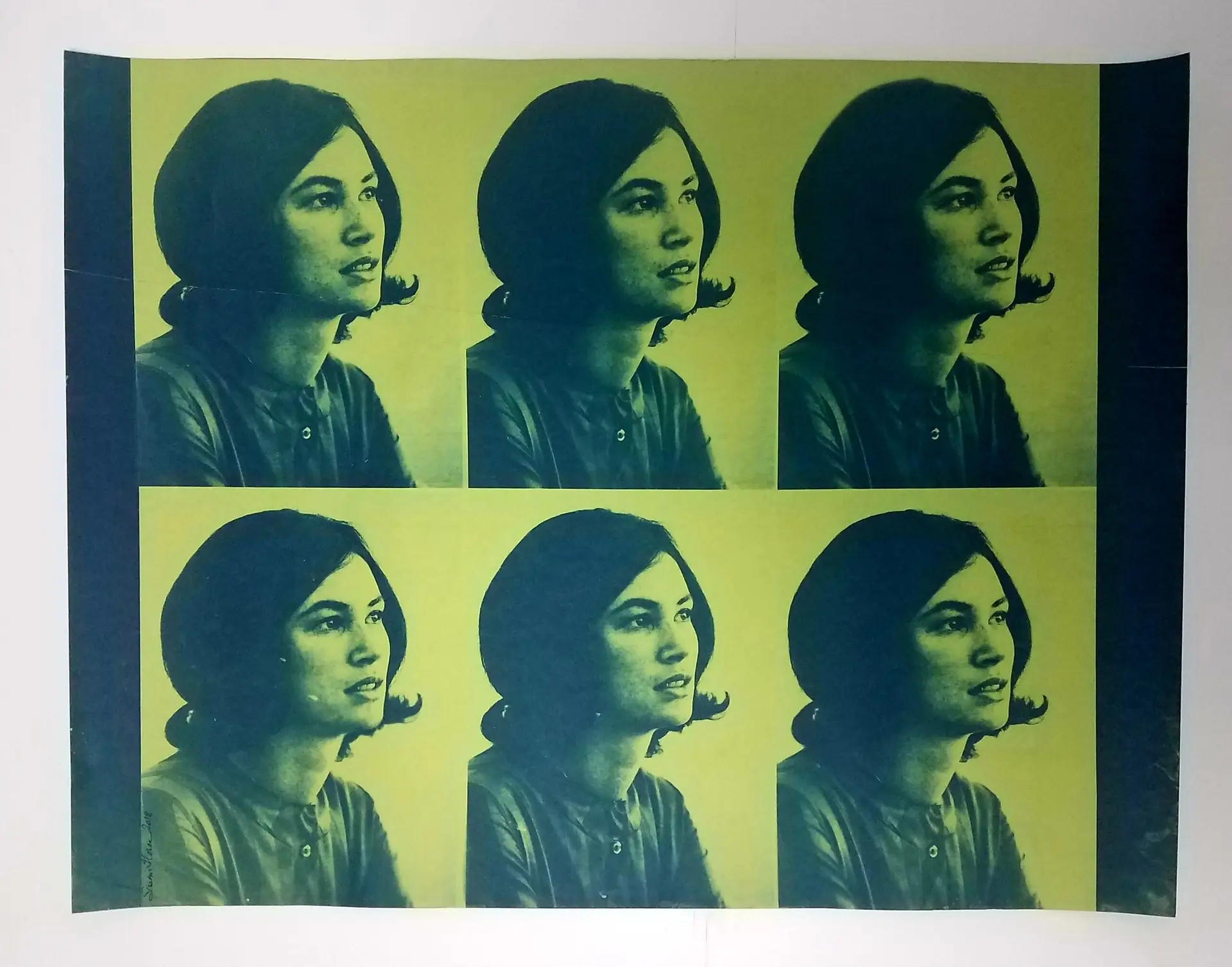 8" X 10" cyanotype paper (green apple) - Image 4