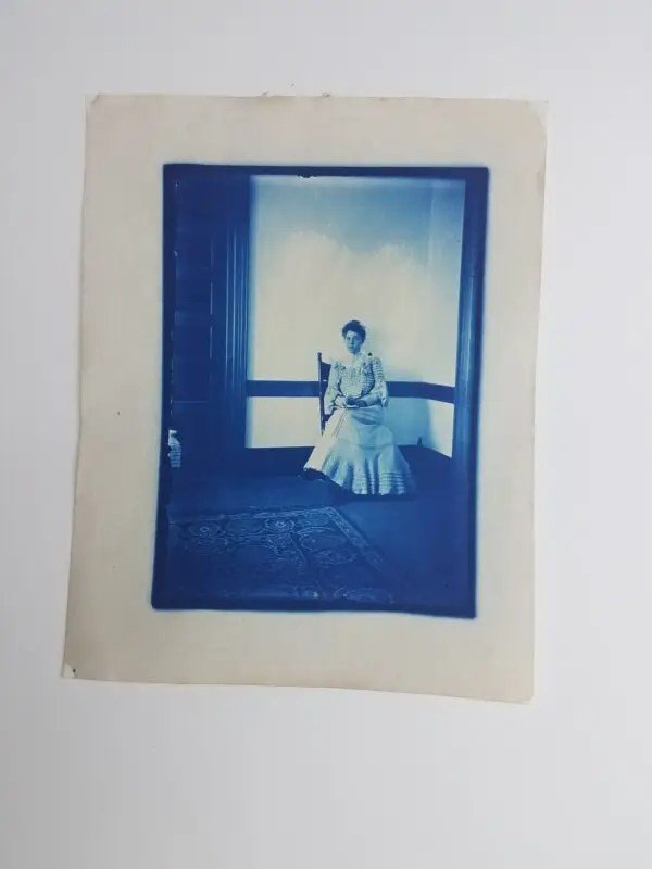 26" x 40" cyanotype paper sheets (white) - Image 4