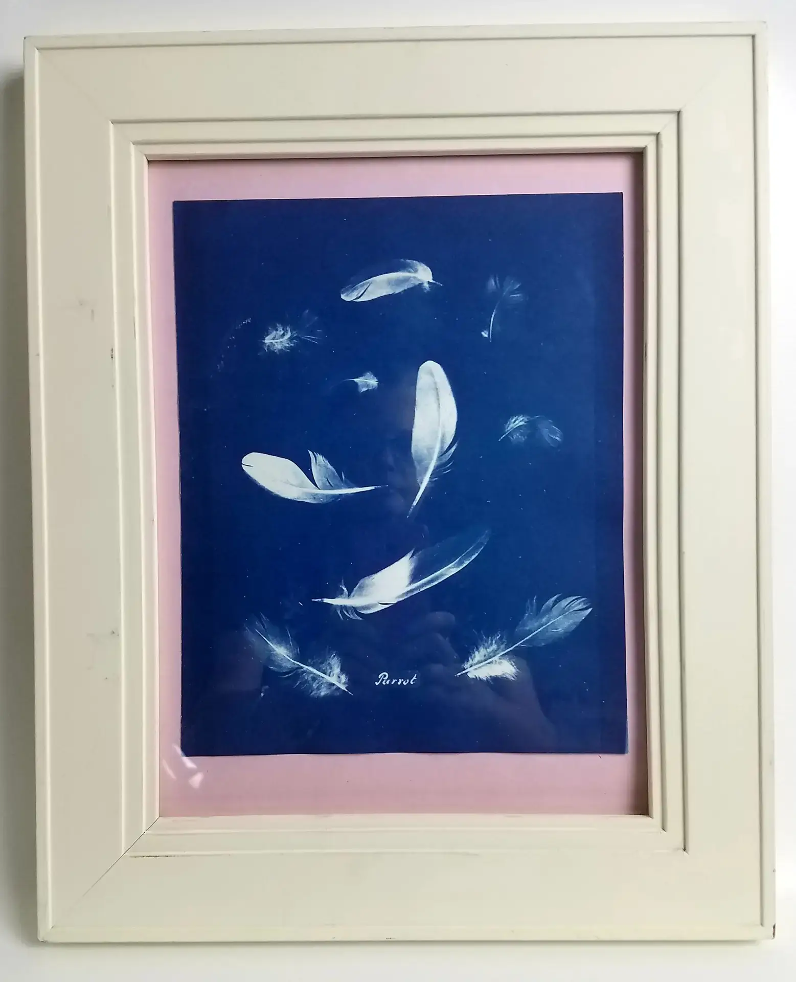 Cyanotype Printing Frames - Image 4