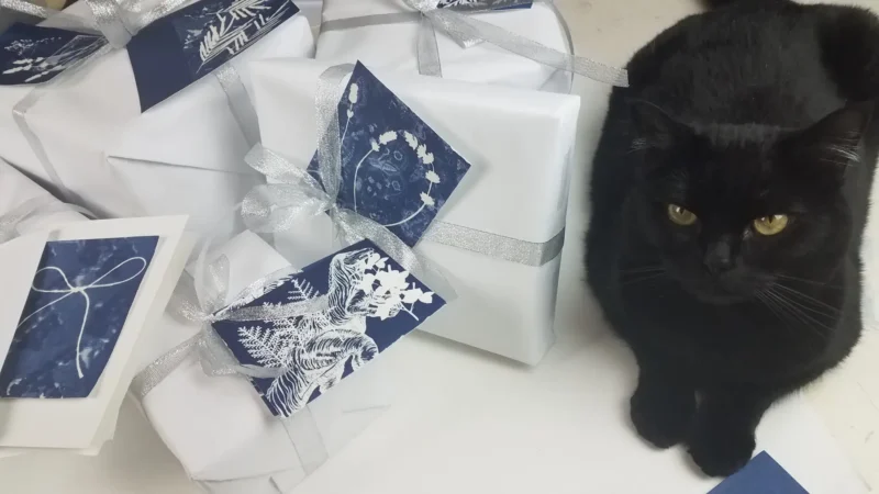 5" x 7" cyanotype notecard kit - Image 5