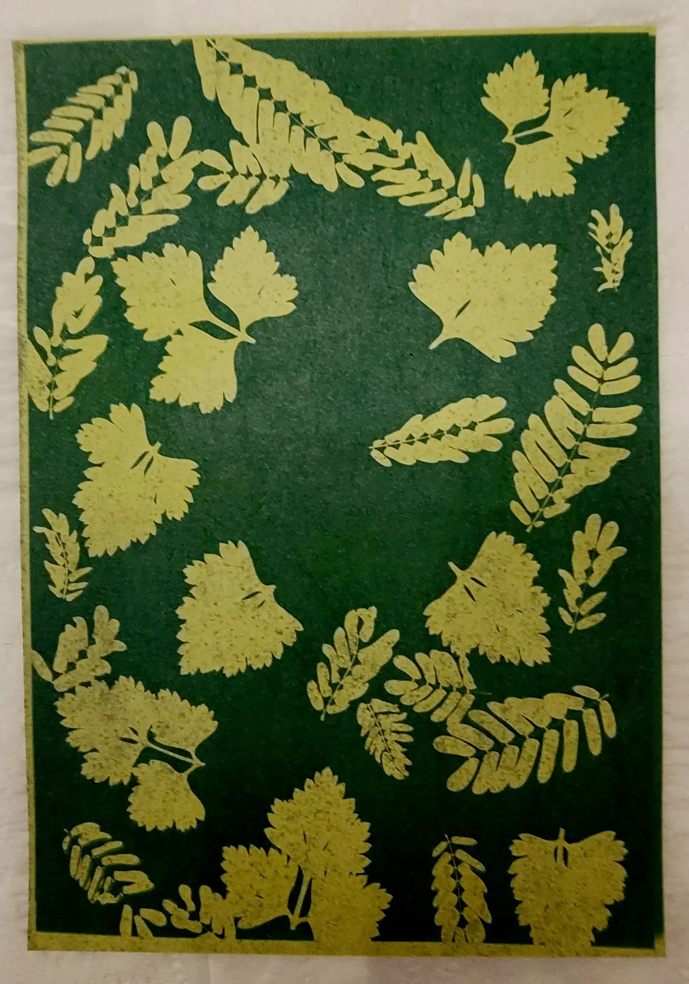 8" x 8" cyanotype cotton squares (lime) - Image 4