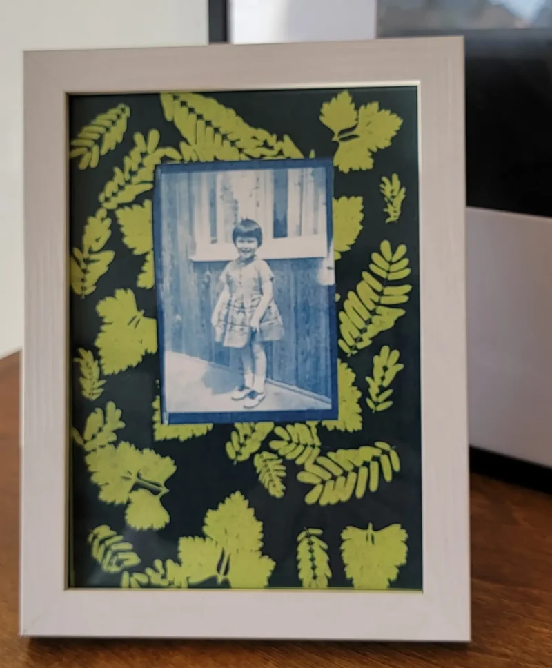 Cyanotype Cotton Lime