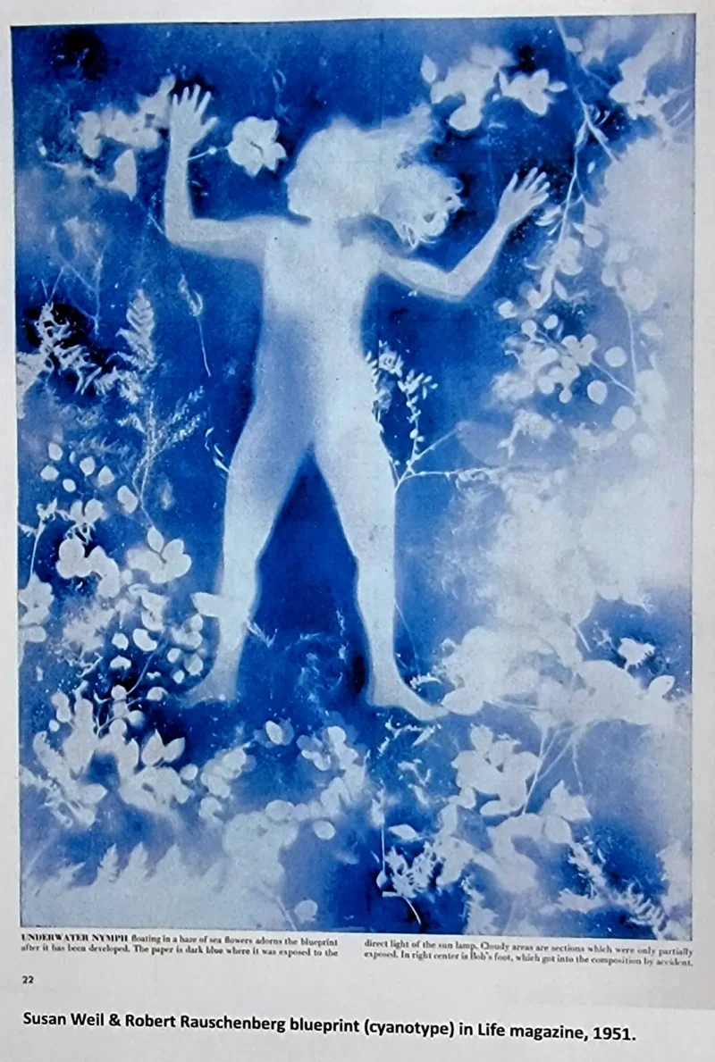cyanotype cotton fabric "by the yard" (white) - 90" wide - Image 2