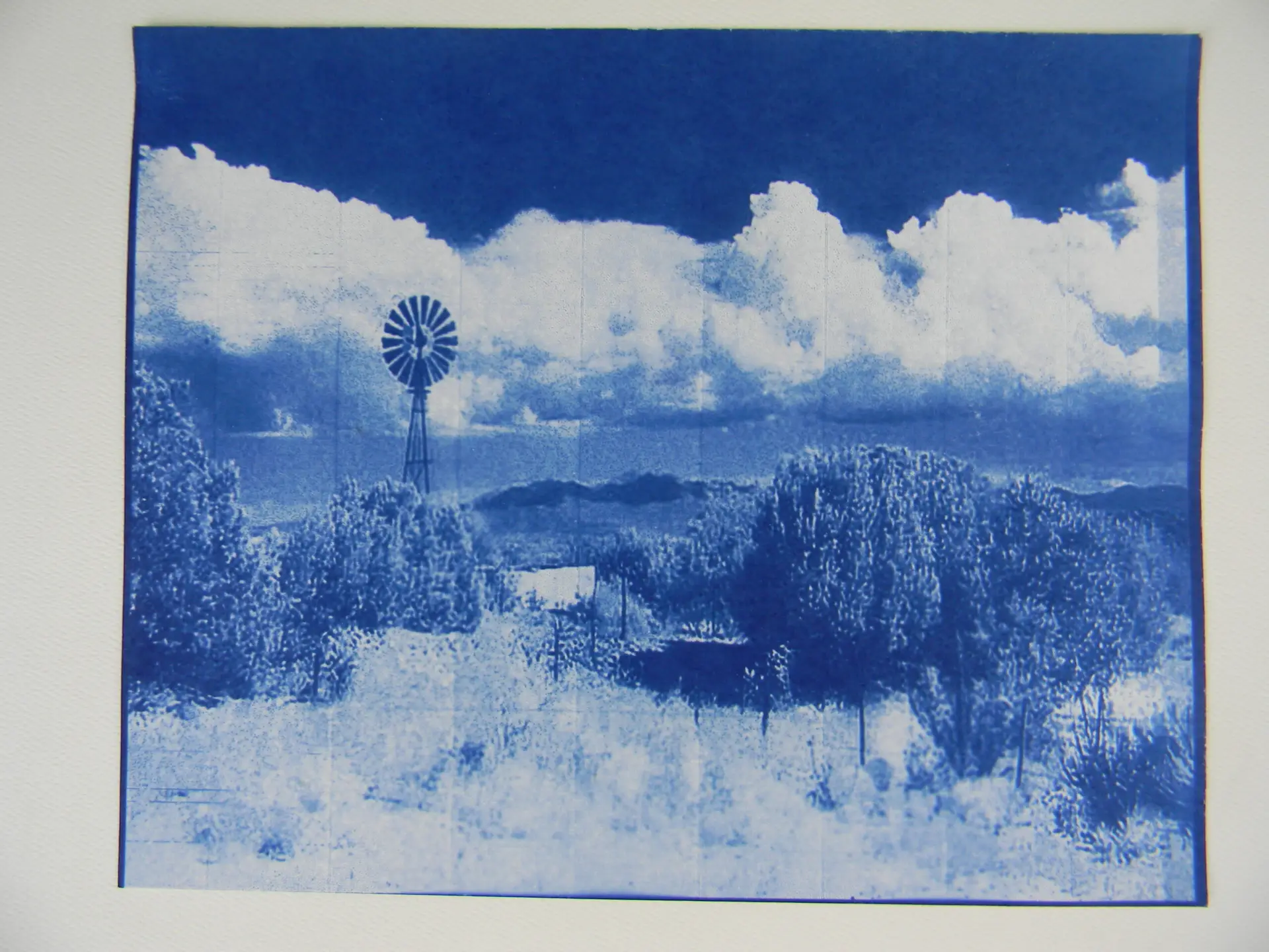 Cyanotype print on 8 x 10 paper.