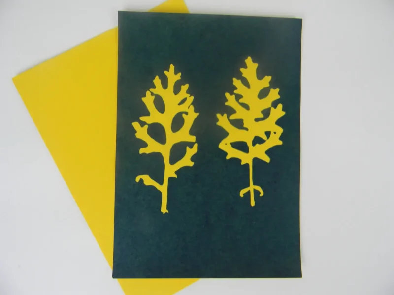 8" X 10" cyanotype paper (yellow) - Image 2