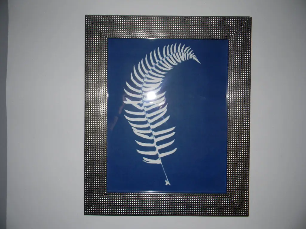 Cyanotype Printing Frames - Image 2