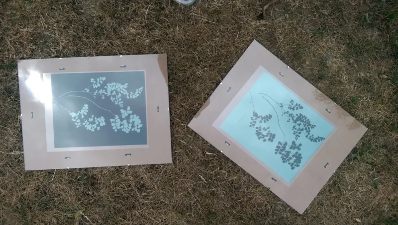 5" x 7" cyanotype notecard design kit - Image 2