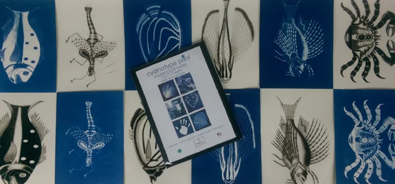 5" x 7" cyanotype notecard design kit - Image 3