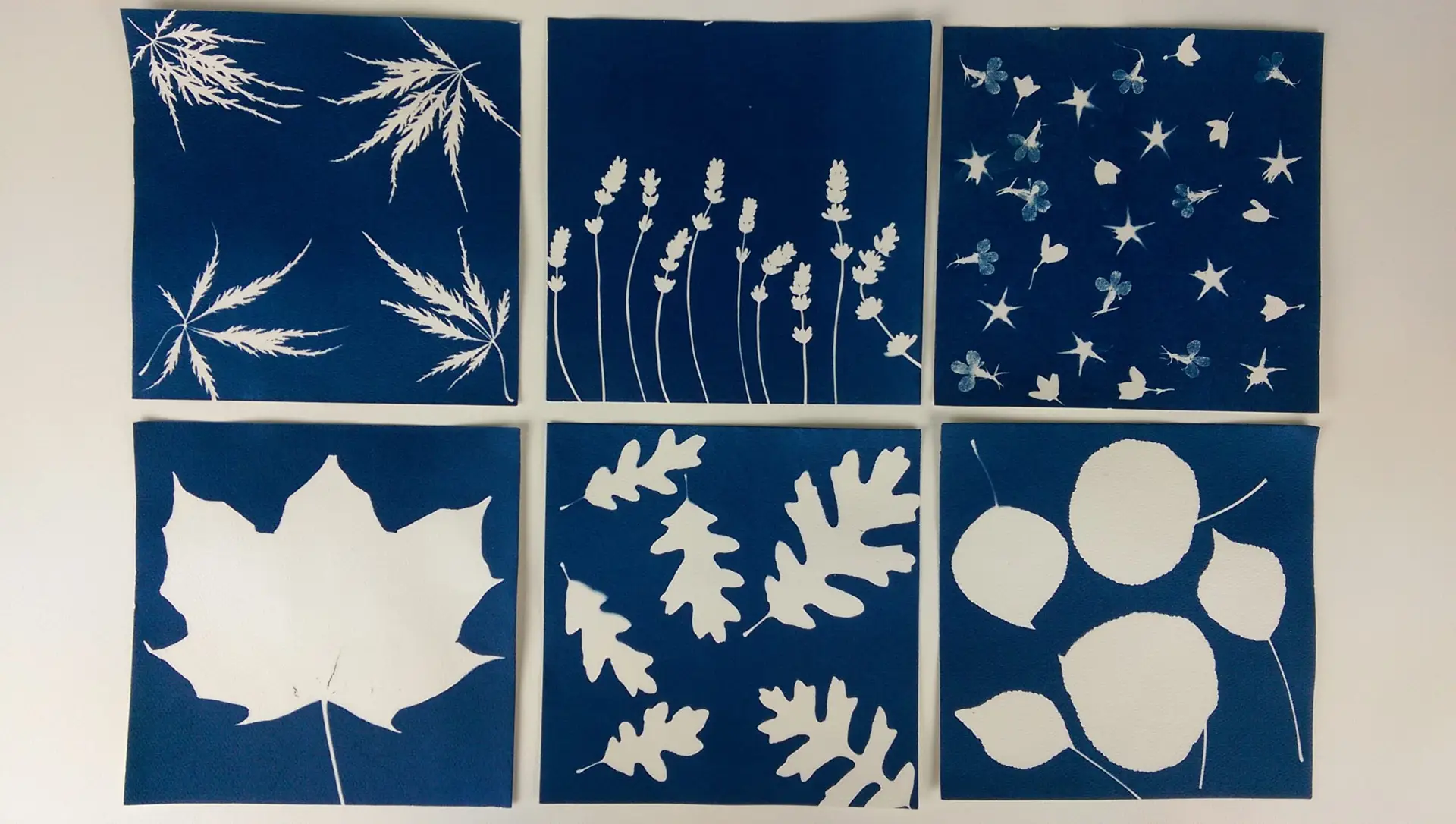 8" x 8" cyanotype cotton squares (white) - Image 2