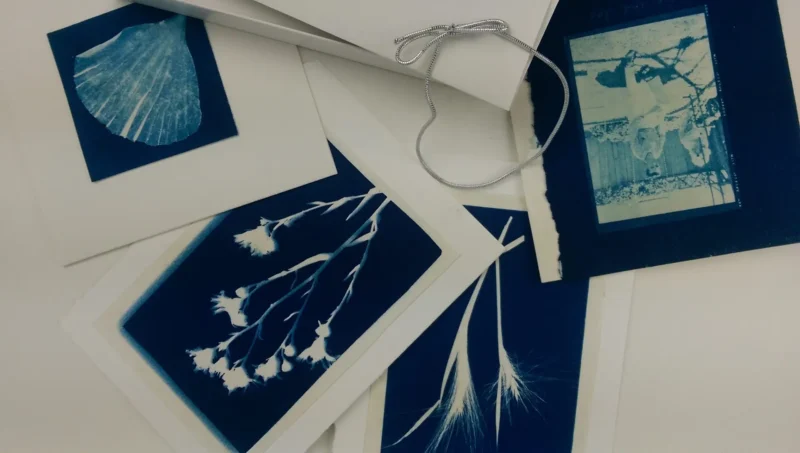8.5" x 11" Cyanotype White Cotton - Image 5