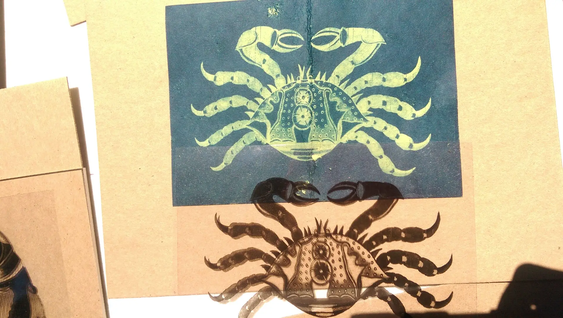 6" x 6" cyanotype cotton squares (lime) - Image 4