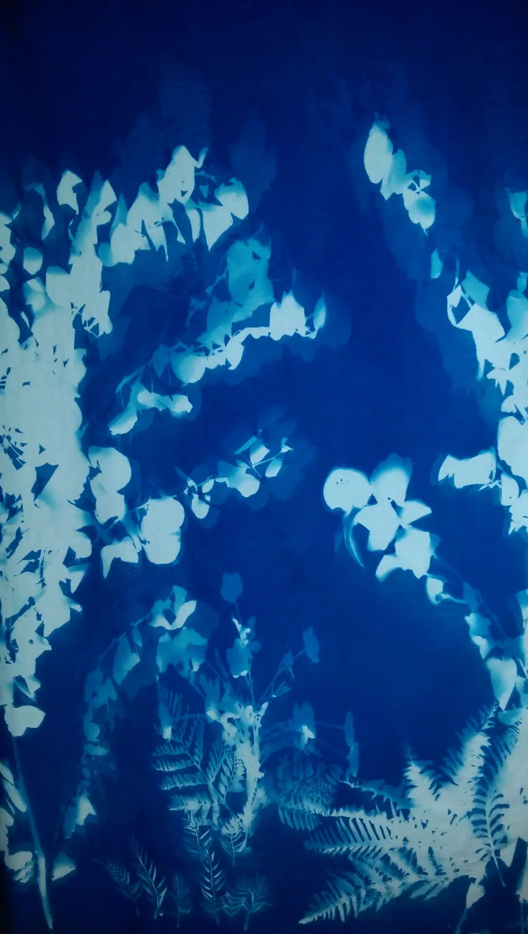 cyanotype cotton fabric "by the yard" (turquoise) - 45" wide - Image 3