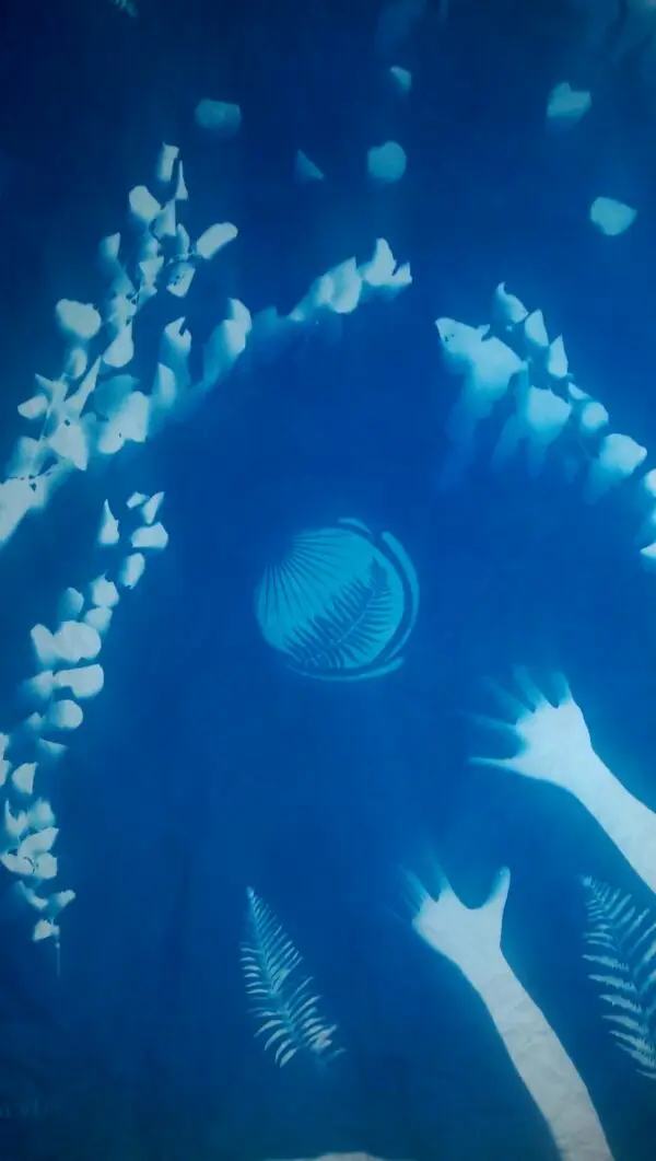 26" x 40" cyanotype paper sheets (white) - Image 3