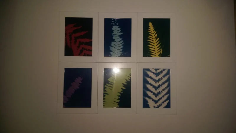 cyanotype paper remnants (white) - Image 5