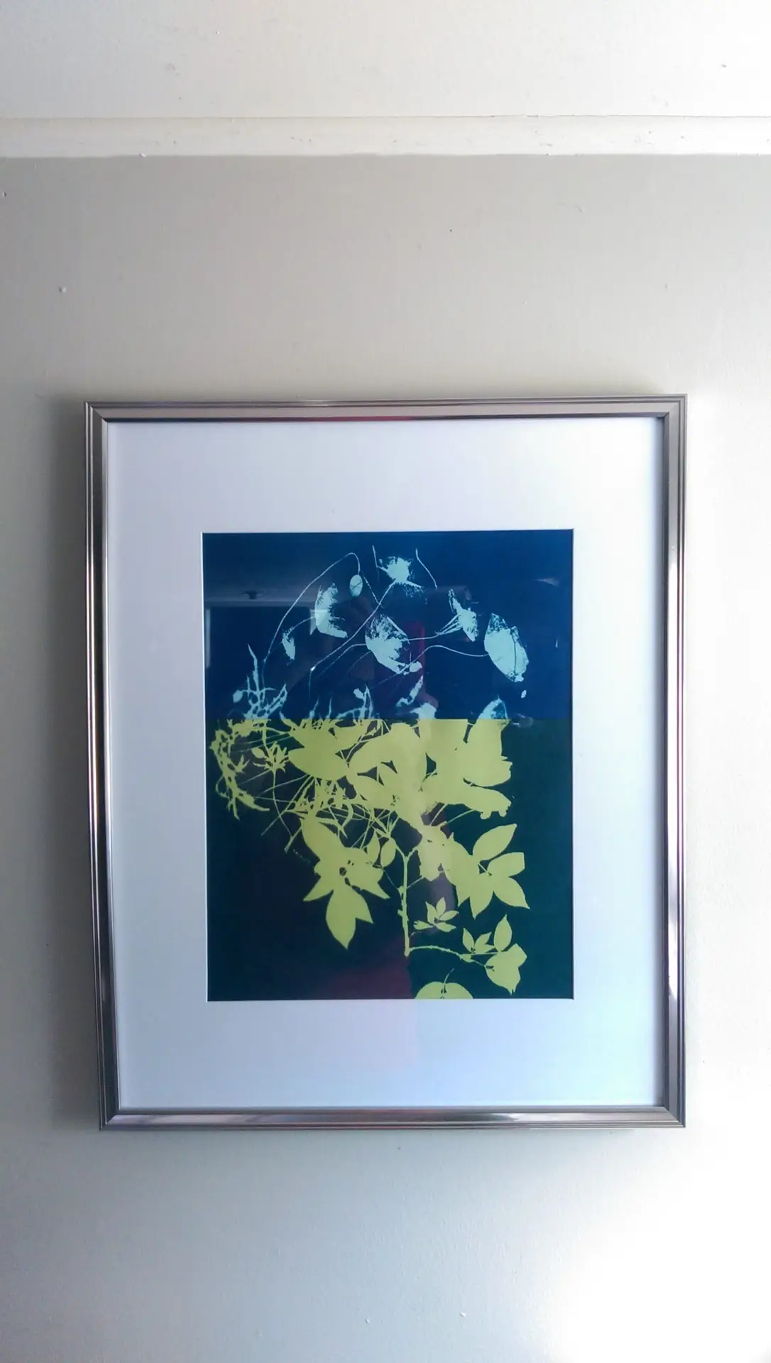 8" X 10" cyanotype paper (green apple) - Image 3