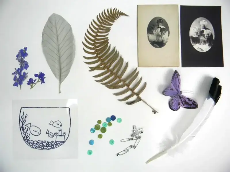 5" x 7" cyanotype notecard kit - Image 3