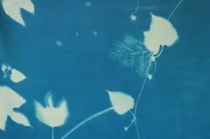 Cyanotype Fabric 1 Yard x 56" (White) - Image 4