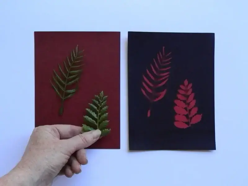5" x 7" cyanotype paper (red)