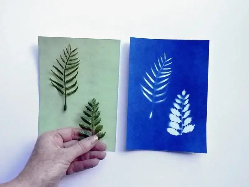 5" x 7" cyanotype paper (white)