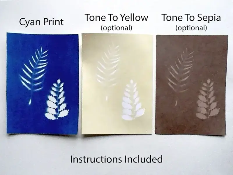 5" x 7" cyanotype paper (white)