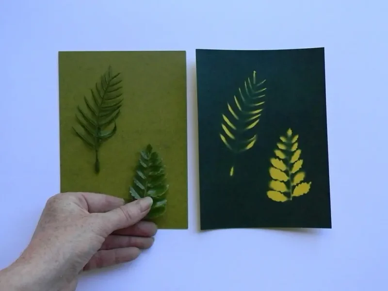 5" x 7" cyanotype paper (yellow)