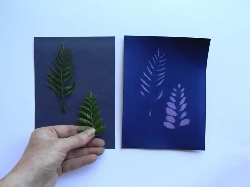 5" x 7" cyanotype paper (violet)