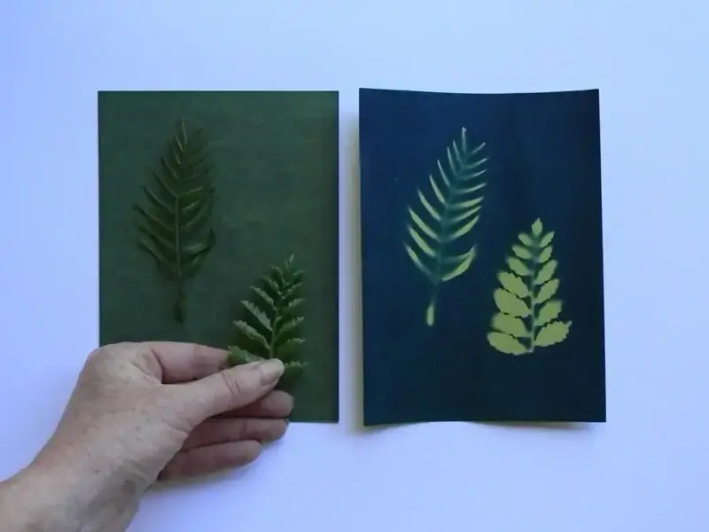 5" x 7" cyanotype paper (Green)