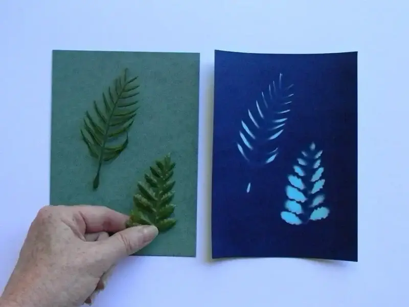 5" x 7" cyanotype paper (blue)