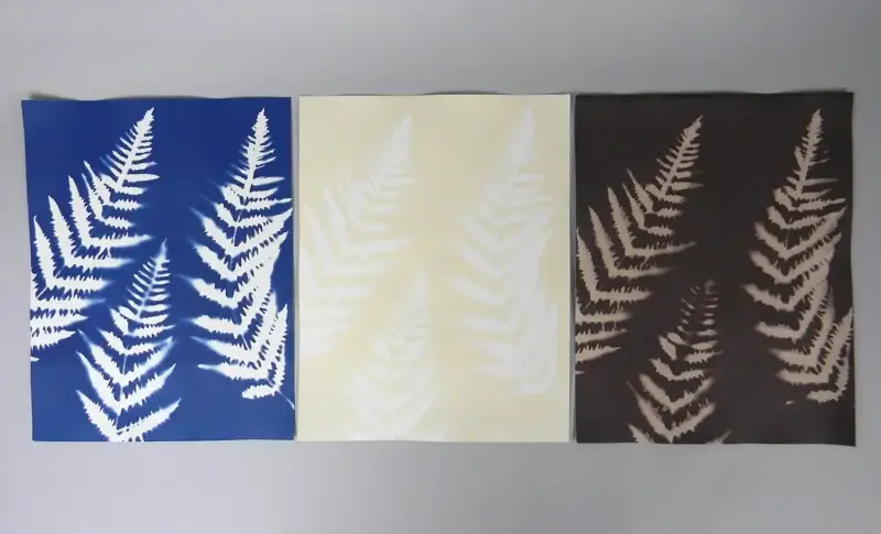 11" x 14" cyanotype paper (white)