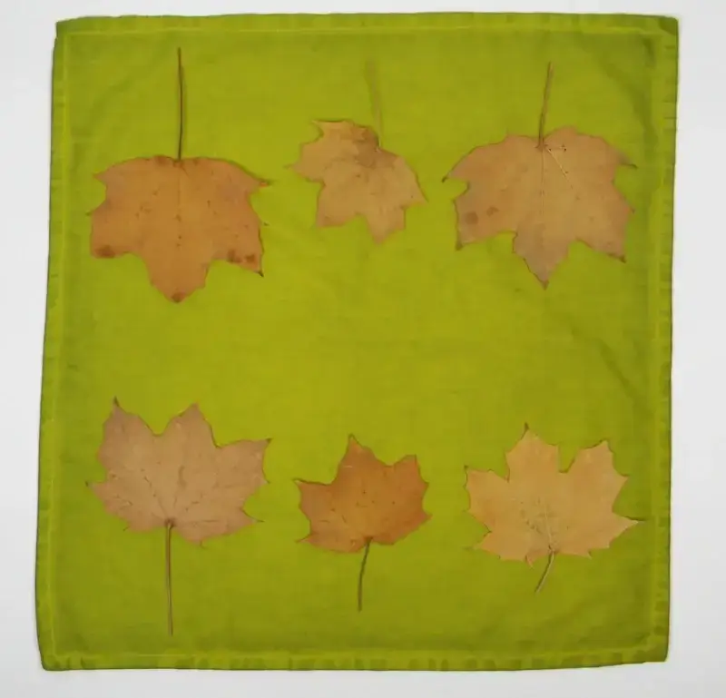 Cyanotype Cotton Table Napkins - Marigold