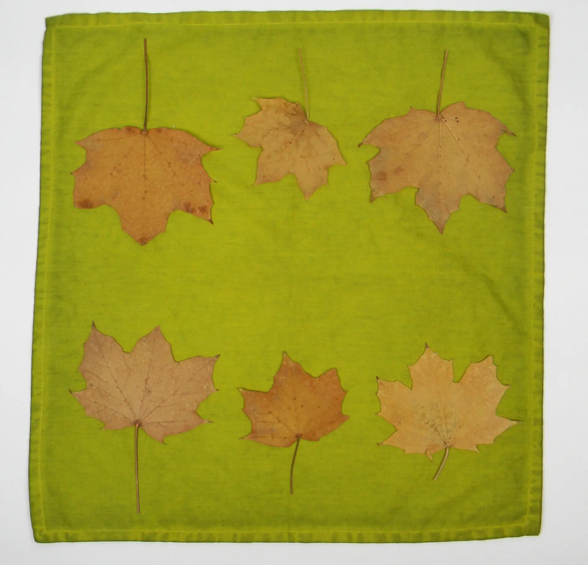 Cyanotype Cotton Table Napkins - Marigold