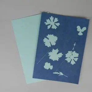 5" x 7" cyanotype paper (blue)
