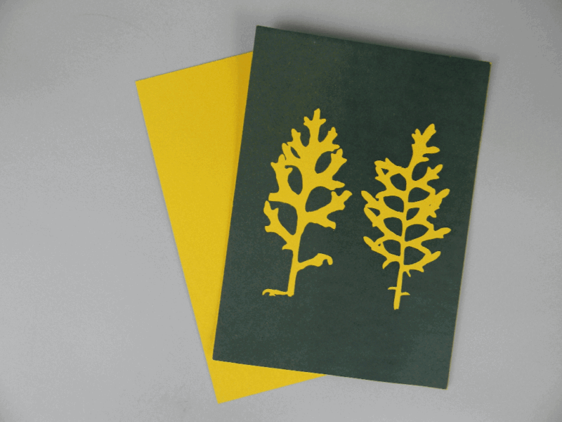 5" x 7" cyanotype paper (yellow)