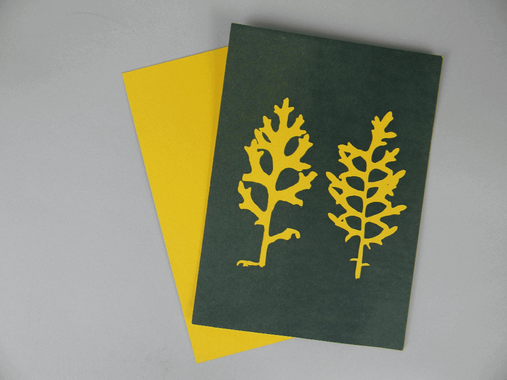 5" x 7" cyanotype paper (yellow)