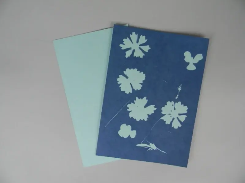 5" x 7" cyanotype paper (blue)