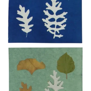 6" x 6" cyanotype paper (white)