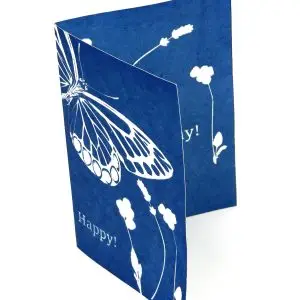 5" x 7" cyanotype notecard kit
