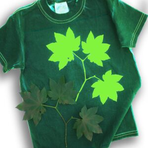 cyanotype adult t-shirts (Lime)
