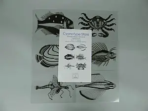 5" x 7" Transparency Designs