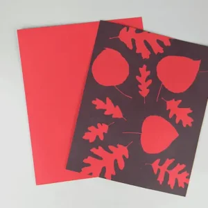 8" X 10" cyanotype paper (red)