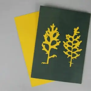 5" x 7" cyanotype paper (yellow)