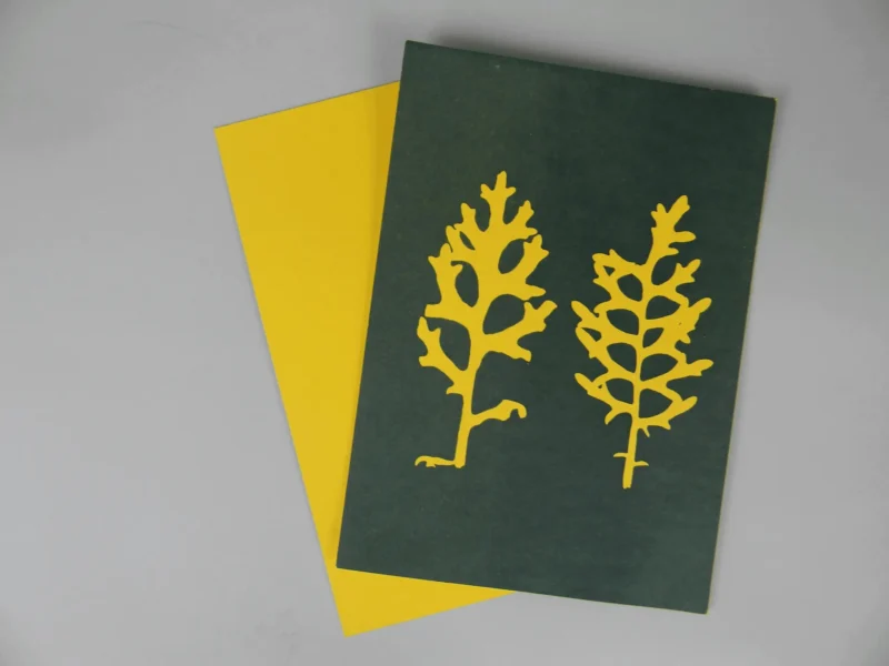 5" x 7" cyanotype paper (yellow)