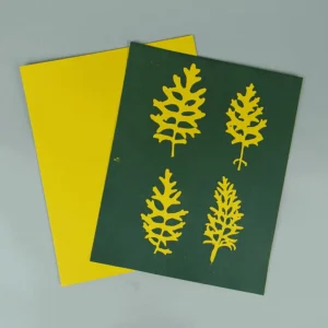 8" X 10" cyanotype paper (yellow)